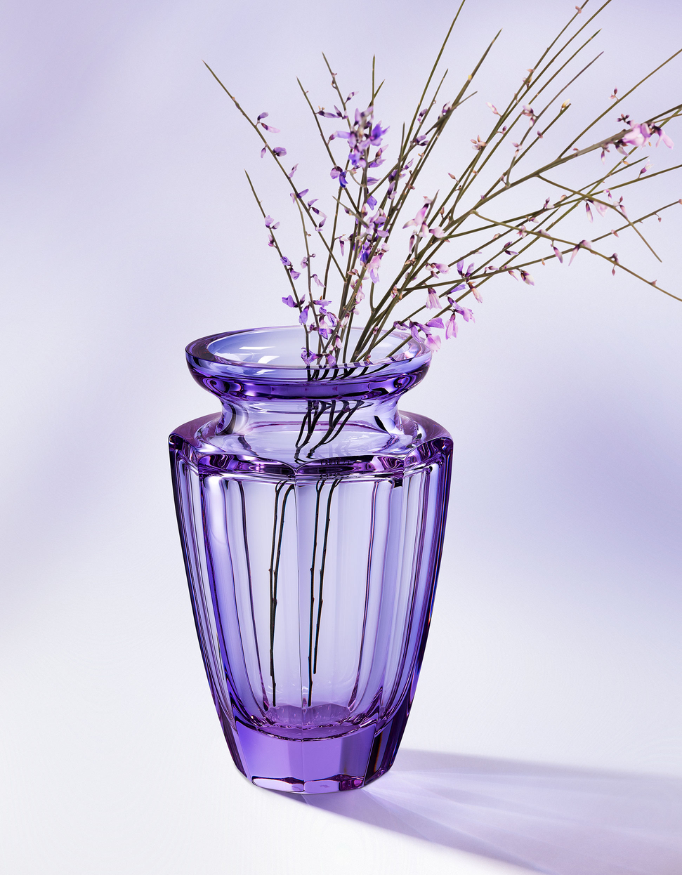 Eternity purple 2025