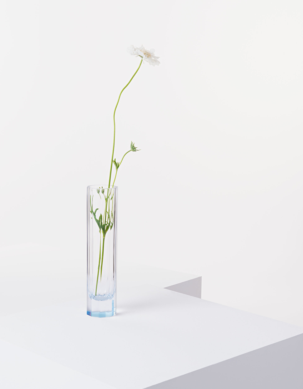 Daisy vase, 28 cm – aquamarine - gallery #1